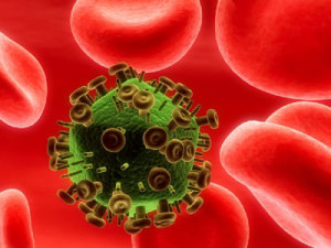 celulaevirus