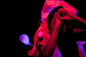 Fuiaco_um_Fuinho_na_Paiede_by_Anderson_Zeg-013