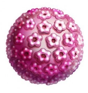 hpv_virus