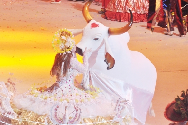 Genilsoncoutinhooft 341