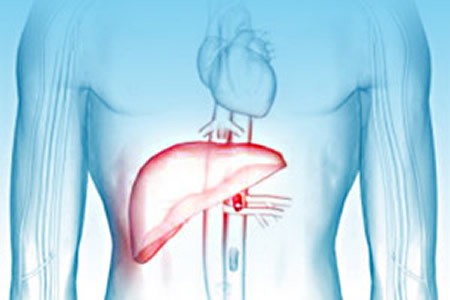 hepatites_virais1